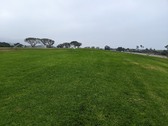 Enlarge photo 42