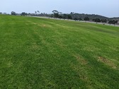 Enlarge photo 43