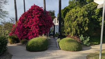 Enlarge photo 12