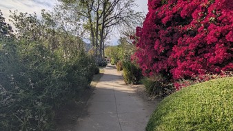 Enlarge photo 13