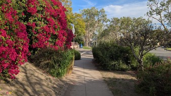 Enlarge photo 16