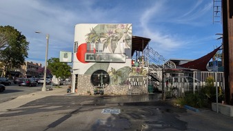Enlarge photo 51