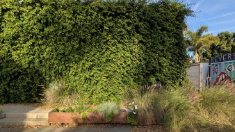 Enlarge photo 56