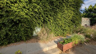 Enlarge photo 57