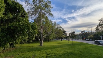 Enlarge photo 72