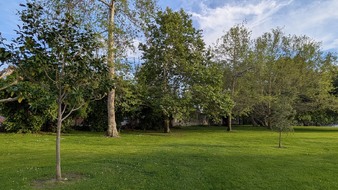 Enlarge photo 73