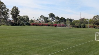 Enlarge photo 121