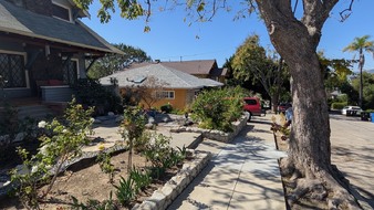 Enlarge photo 54