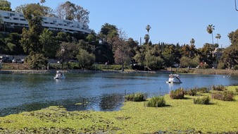 Enlarge photo 99