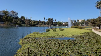 Enlarge photo 104