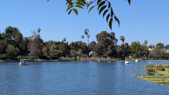 Enlarge photo 107
