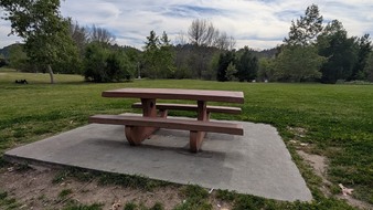 Enlarge photo 72