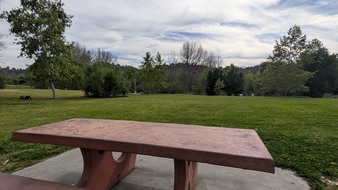 Enlarge photo 73