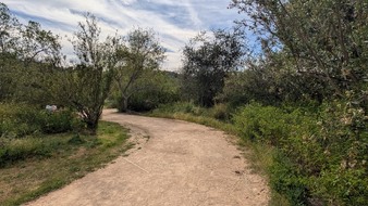 Enlarge photo 80