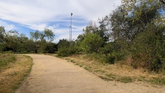 Enlarge photo 81