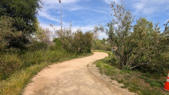 Enlarge photo 82