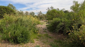Enlarge photo 83
