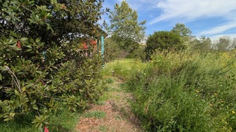 Enlarge photo 84