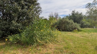 Enlarge photo 85