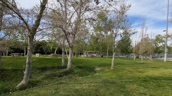 Enlarge photo 86