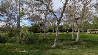 Enlarge photo 87