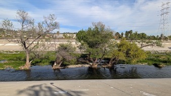 Enlarge photo 27