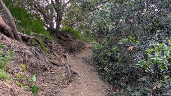 Griffith Park