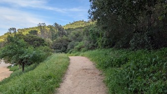 Enlarge photo 3