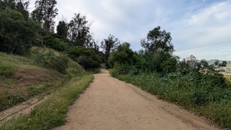 Enlarge photo 4