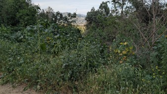 Enlarge photo 7