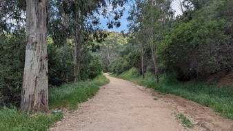 Enlarge photo 12