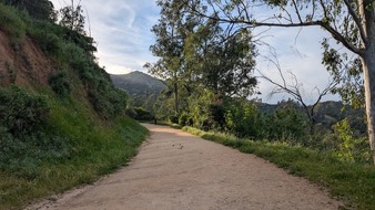 Enlarge photo 13