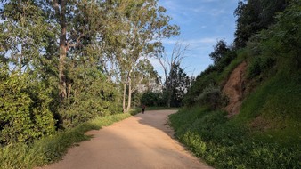 Enlarge photo 14