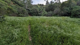 Enlarge photo 16