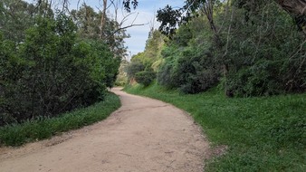 Enlarge photo 18