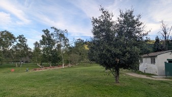 Enlarge photo 24