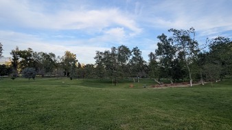 Enlarge photo 25