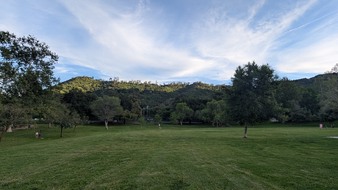 Enlarge photo 26