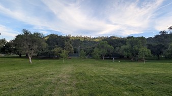 Enlarge photo 29