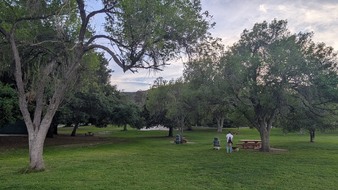Enlarge photo 30