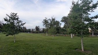 Enlarge photo 31