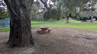 Enlarge photo 39