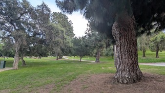 Enlarge photo 41