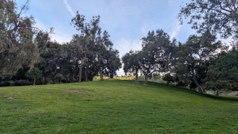 Enlarge photo 42