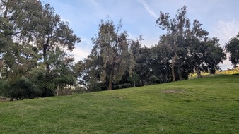 Enlarge photo 43
