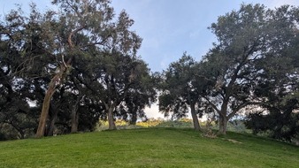 Enlarge photo 44