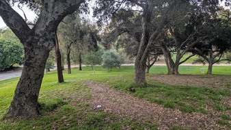 Enlarge photo 45