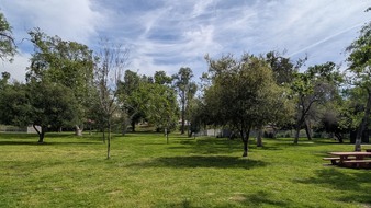 Enlarge photo 10