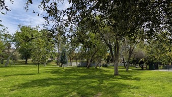 Enlarge photo 12