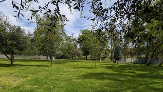 Enlarge photo 13